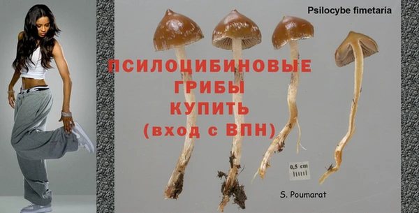 гашик Переславль-Залесский