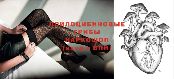 стаф Пересвет