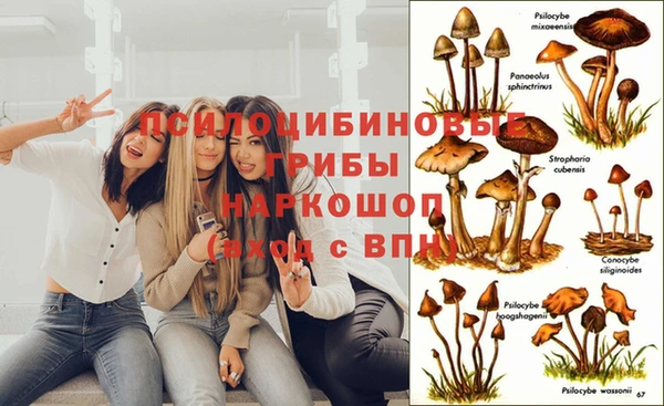 гашик Переславль-Залесский