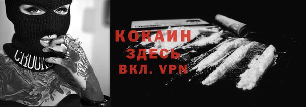 стаф Пересвет