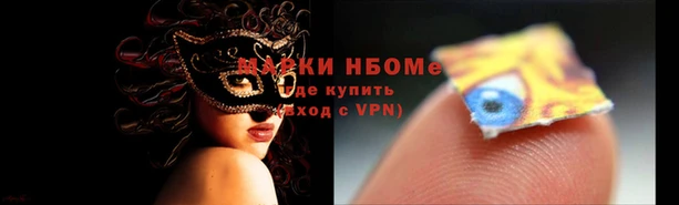 ПСИЛОЦИБИНОВЫЕ ГРИБЫ Пестово