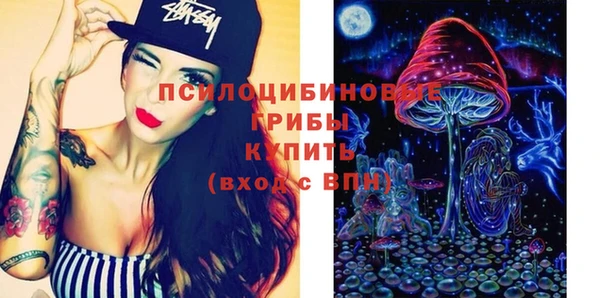 стаф Пересвет