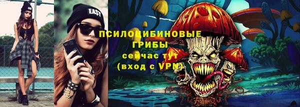 ПСИЛОЦИБИНОВЫЕ ГРИБЫ Пестово